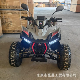 沙滩车;碰碰车卡丁车;其他电动车