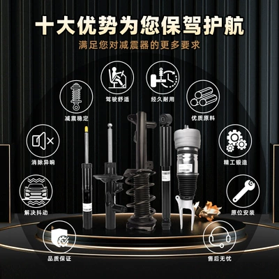 Mercedes-Benz W164 Ml300 Front – damping system