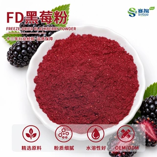 FD黑莓果粉赛扬商用食品级固体饮料原料FD果粉系列FD黑莓粉