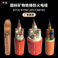 天和矿物质柔性防火电缆NG-A（BTLY） 1/3/4/5/3+1/3+2/4+1芯电缆