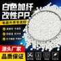 增强刚性改性白色pp