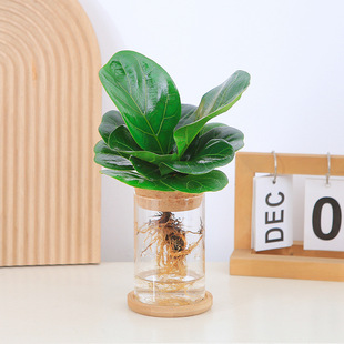 ˮ�����~�������k��������ˮ�B�^�~�Gֲ���ֺ��B��籱�W�L��