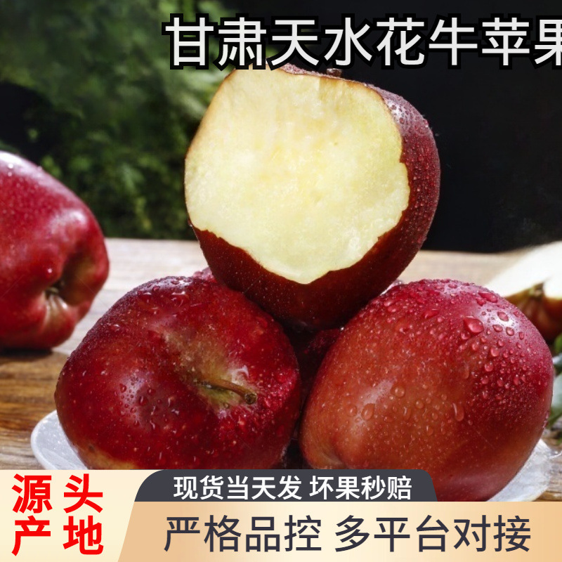甘肃天水花牛苹果斤整箱新鲜水果当季正宗蛇苹果粉面宝宝辅食