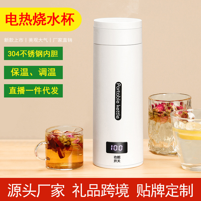 出差旅行电热水杯迷你多功能烧水壶小容量便携式电水杯养生杯新款