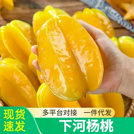 块茎类;其他水果;苹果