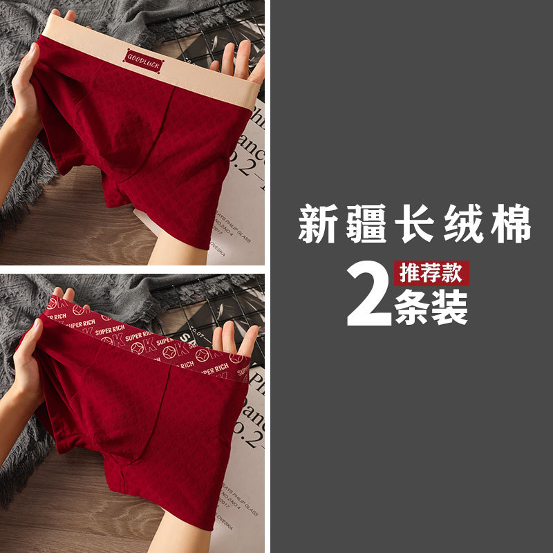 2팩 행운과 행운 + 행운을 기원하는 마음