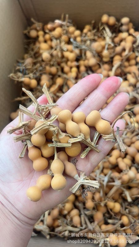 草里金小葫芦手把件手串手持文玩特小美国手捻产地卸売天然葫芦|undefined