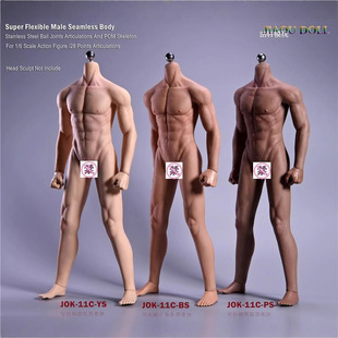 1/6���˰��z�������������w��ܹǍ�ϵ���L�����w�Ʉ���żģ��