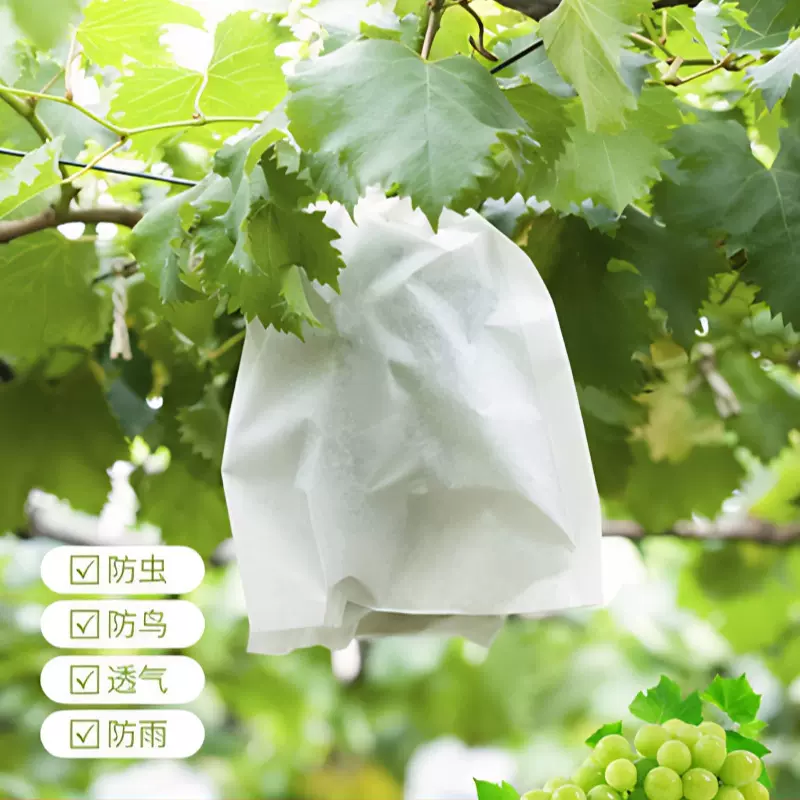 无纺布葡萄水果套扎丝袋子防鸟虫袋透气水果保护梨子套袋专用批发