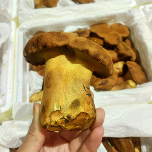 ���r�t�[ţ�ξ��r؛ �Sţ�ξ��㹽1000g���Ұ���� Ҋ�����r؛