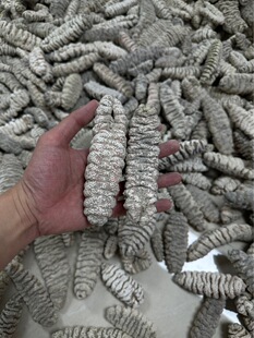 �ݼy����ʳ������Ź���Ұ�������������˷�����ˮ�l�������y��