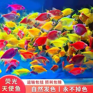 ��ʹ�~�^�p�~��̖Ⱥ�Α���С�͵�ˮ���B�ͻ�t��ʹ�ϻ��Ꭷ�~�~��