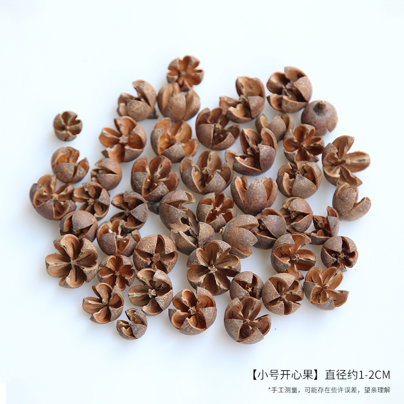 Quả hồ trăn nhỏ 1-2CM, màu tự nhiên [Túi 20g, khoảng 20 miếng]