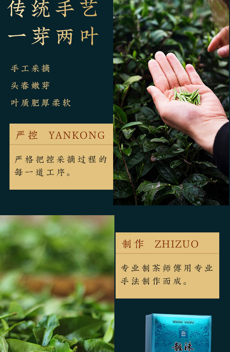 白茶龙珠_05
