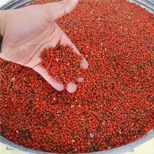 ������N���lì�����������h�ͻ��������ɽ�u�l�������Ҋ�[��