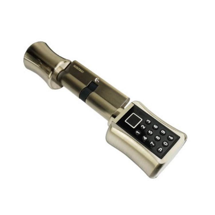 Transfronteriza al por mayor inteligente de huellas dactilares de bloqueo interior TTLOCK paso de bloqueo de oficina apartamento esférico de bloqueo de aplicaciones de graffiti