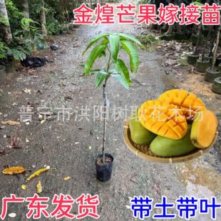 â��������â�ļ�â�t�F������̨�râ�޽��箔��Y���Ϸ�������