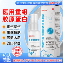 �׏����� �t���ؽM�zԭ�������o���Ϝغ�Ƥ�w�����t���g��ȇ���