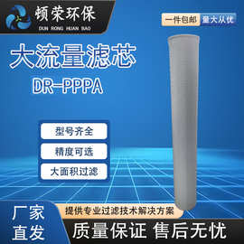 顿荣大通量工业滤芯 净水滤芯电厂钢厂化工过滤器净水处理