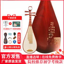 琵琶乐器初学者成人非洲紫檀木材质系列木轴刻诗考级琵琶琴