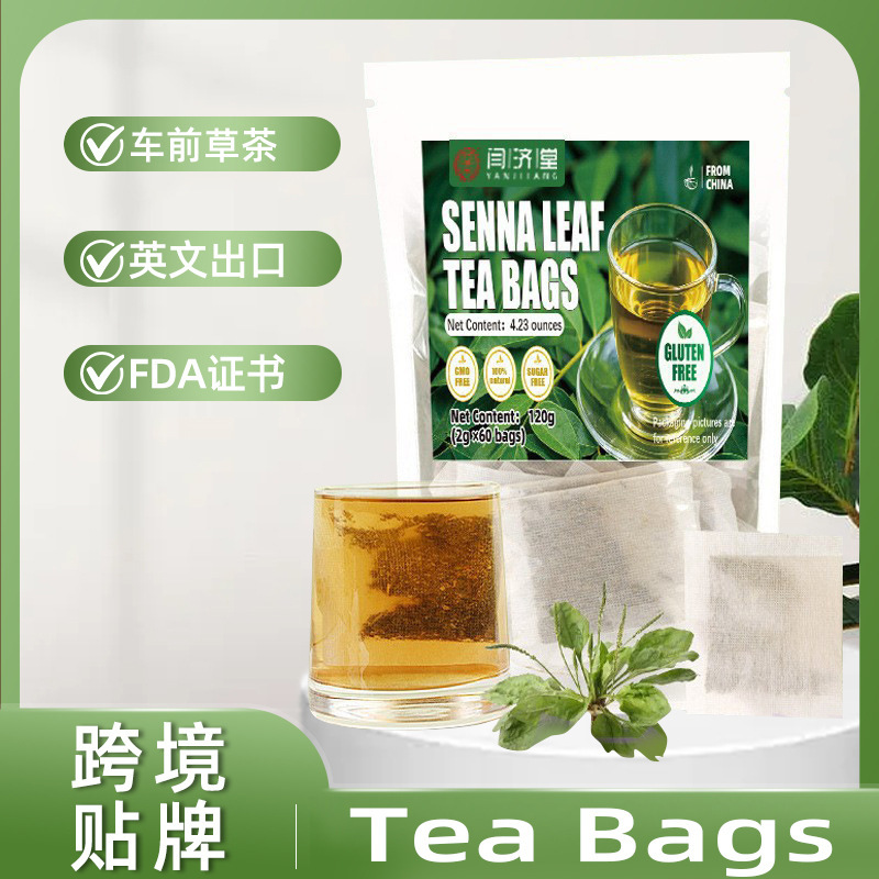 Amazon's Popular Plantain Leaf Tea Bags Plantain Tea Bags Loose Leaf Plantain Herbal Tea 60 Bags