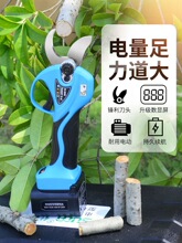 늄Ӽ���������ʽ�@�ּ�֦����֦����֦늼���