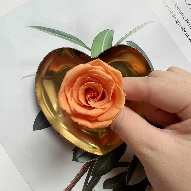 Материалы для DIY вечной жизни цветка, класс B, голова вечной розы 2–3 см, маленький брелок-розочка с основным материалом