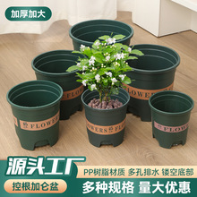 控根加仑盆批发新款加厚塑料花盆多肉花盆树脂透气花盆月季加仑盆