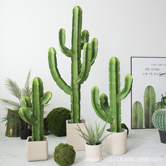 北歐風仿真仙人掌落地假植物仙人柱盆栽熱帶沙漠綠植軟裝櫥窗擺件