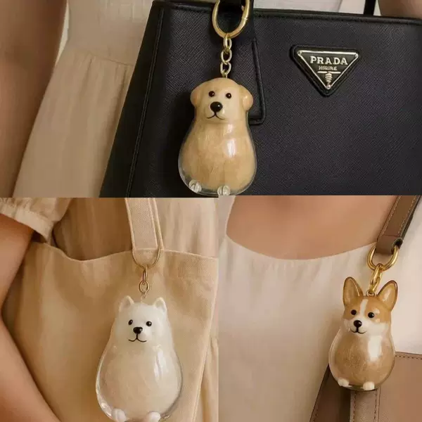 Transparent Storage Box Dog Hair Collection Pendant Golden Retriever Corgi Samoyed Labrador Hair Storage Keychain