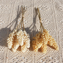 ���滨 6֦��������� �ٻ� �Ҿ�ֲ��b�Y������ĔzӰ����