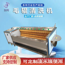 定制新型毛刷清洗机 猪皮平行毛辊去皮设备 滚动毛刷去毛流水线