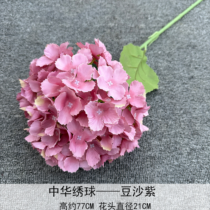 Hortensia China Cameo púrpura