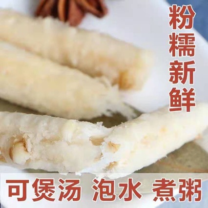 Bei Sha Shen (Glehnia littoralis) — Wild-Dried Sulfur-Free Coastal Glehnia Root, 500g specifications