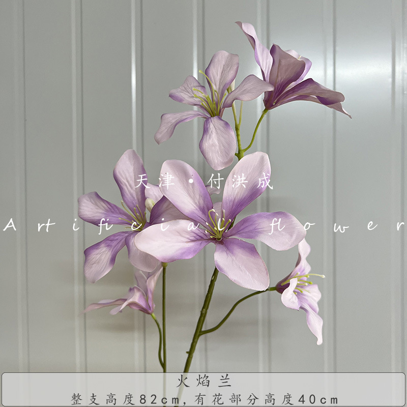 불꽃 난초-연한 보라색