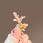 气质侧边甜美金属鸭嘴夹