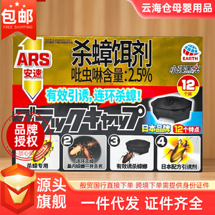 �ձ�ARS/����40��(12���b) �������m���҃ȼ����Ͷ�D����D��