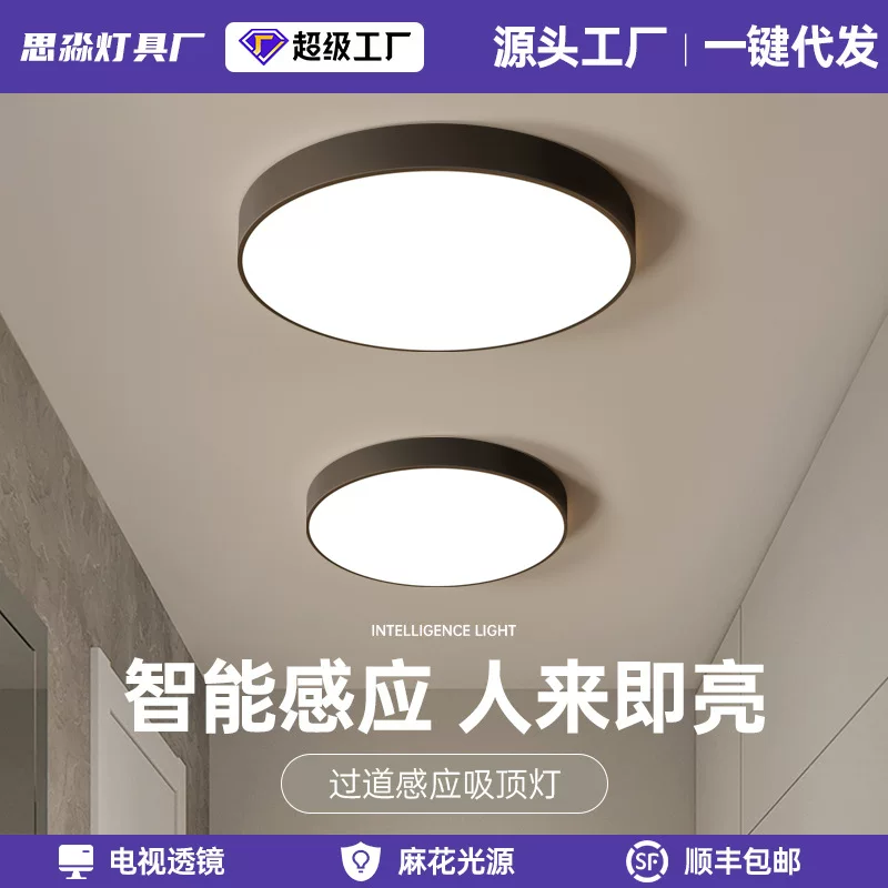 Smart LED ceiling light, physiological induction lights for corridor for stairs, human sensor