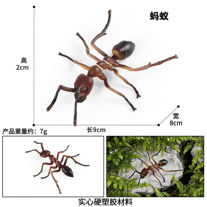 M-2235 Ant