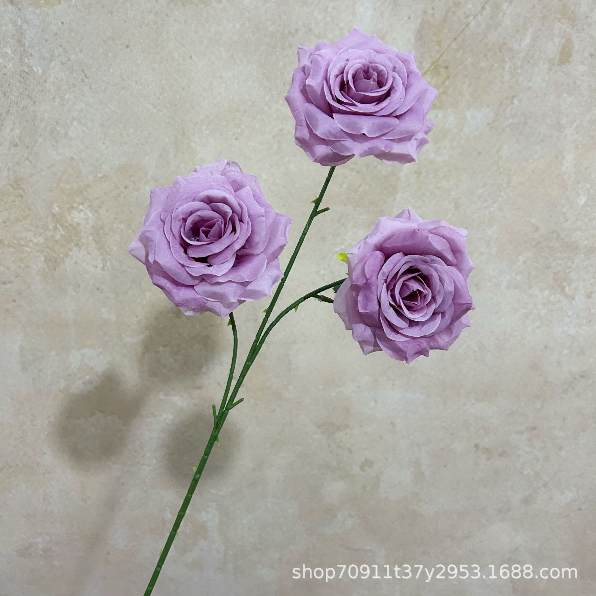 잎이 있는 가을 보라색