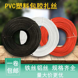T包皮铁丝包胶扎丝PVC环保原料铝丝扎线规格齐全圆形扁形 一卷包