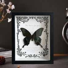 真蝴蝶标本相框欧式风壁画DIY复古摆台装饰画家居装饰品生日礼物