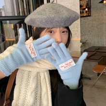 陈奶奶贴标韩系手套女冬季可爱百搭骑车可触屏加绒学生可爱手套