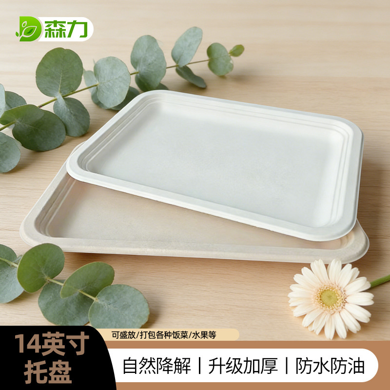 Disposable 14inch Tray Scandinavian Tableware Rectangular Plate Household Fluid Bear Biodegradable Dessert Large Tray