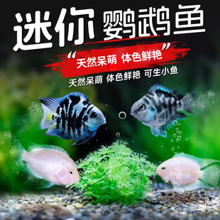 �����W�^�~���^�p�~�Ꭷ�~С�͵�ˮ�^�p�ͻ���ˮ�W�^�~�N�~�ɷ�ֳ