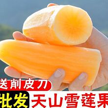 ����خa�S����ɽѩɏ���������rˮ�����]���l����S���lһ�����l