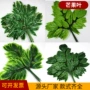 仿真植物叶子树枝绿植