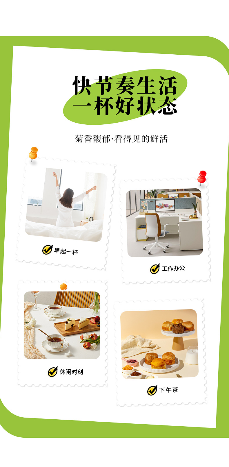 Burdock Root Tea Slices Niu Bang Gen 500g Dried Arctium lappa Herbal Wellness Tea in use