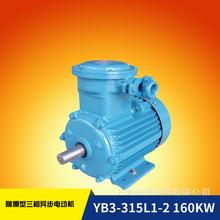 YB3����늄әC������YBX3-315L1-2 160KW����380v�~�����ܷ����R