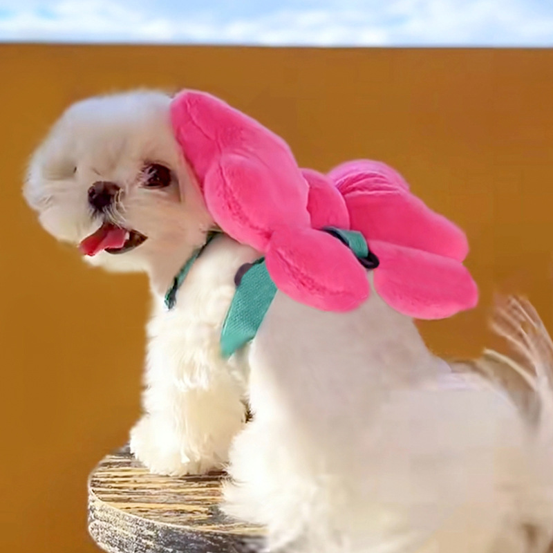 Mascota arco correa para el pecho cuerda de tracción perro caminando cuerda perro gato fuera anti-rotura pecho volver suministros al por mayor